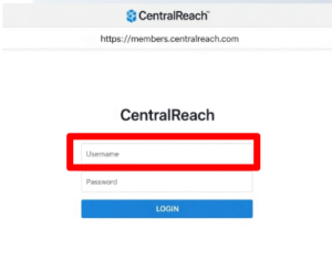 Central Reach email login